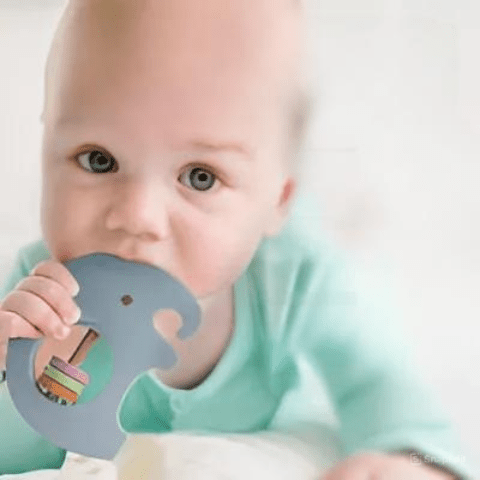 Baby Teether Rattle Toy